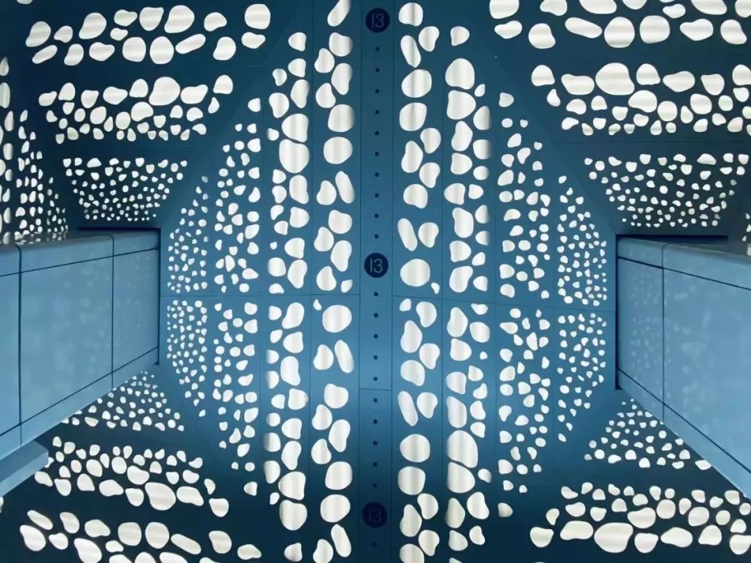 大家用手机拍出过什么好看的照片,赞别人的照片拍摄得好的句子