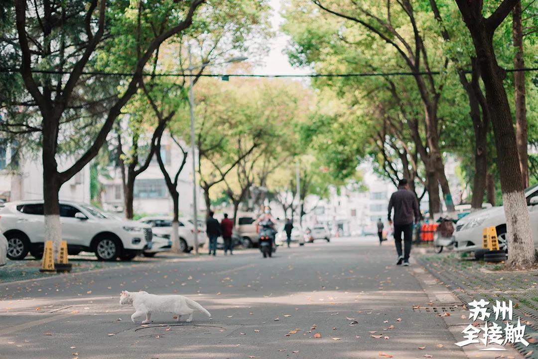 三元一村租房大概多少钱,三元新村的房子怎么样