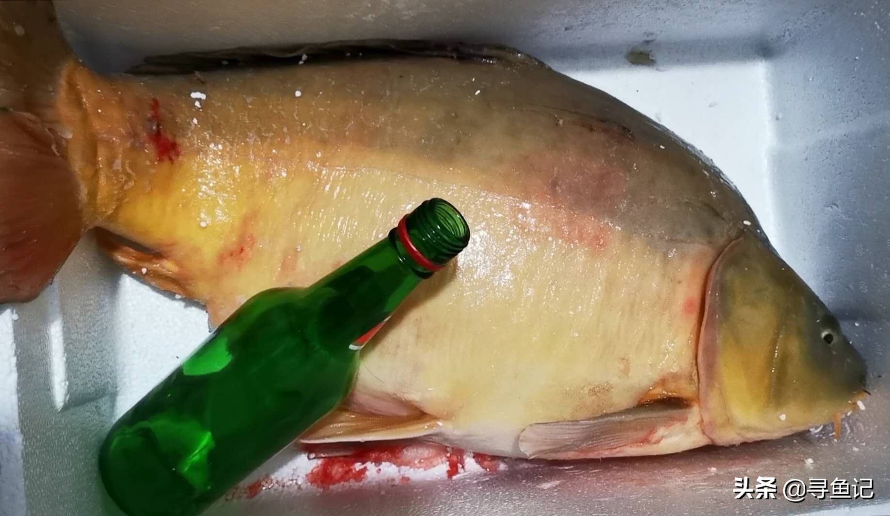 如何冰钓鲫鱼视频,怎么冰钓容易钓到鱼