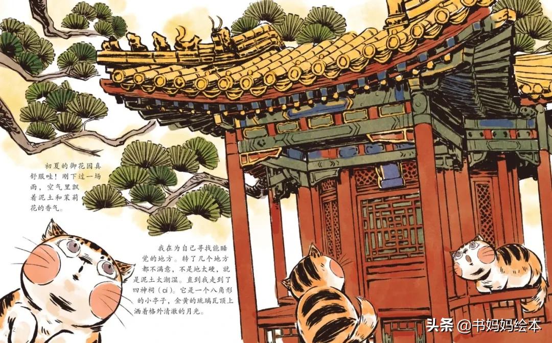 故宫御猫夜游记原创,北京故宫御猫夜游记
