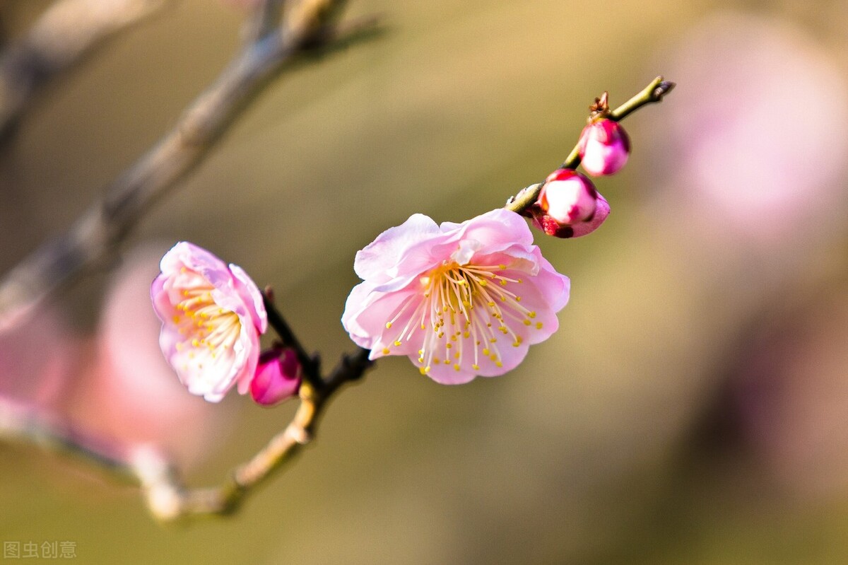 如果你很容易上当受骗，无法辨别信息真假，不妨听听老子的这段话