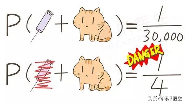 给猫打针结果猫生气了,给猫打针打疼了不开心了