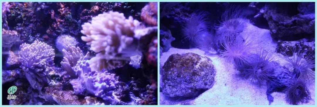 罗源湾海洋世界鲨鱼,汕头水母海洋世界图片