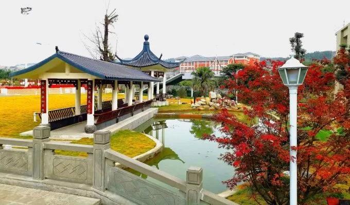 四川医专排名前十名,四川的医专学校有哪些