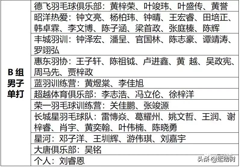 广东惠阳羽毛球单项赛,羽毛球惠阳区比赛