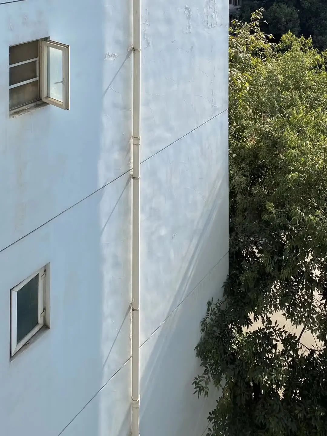 CBD里的Chloe、AmandaandKatharine,都在㳽到脑壳买农副产品