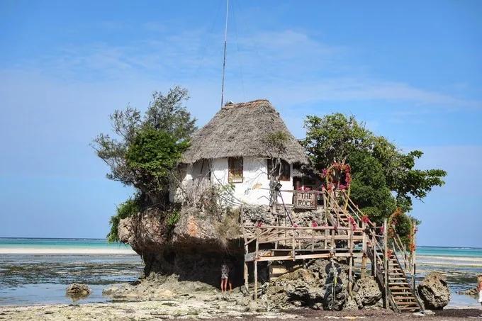 坦桑尼亚之旅,坦桑尼亚东非草原