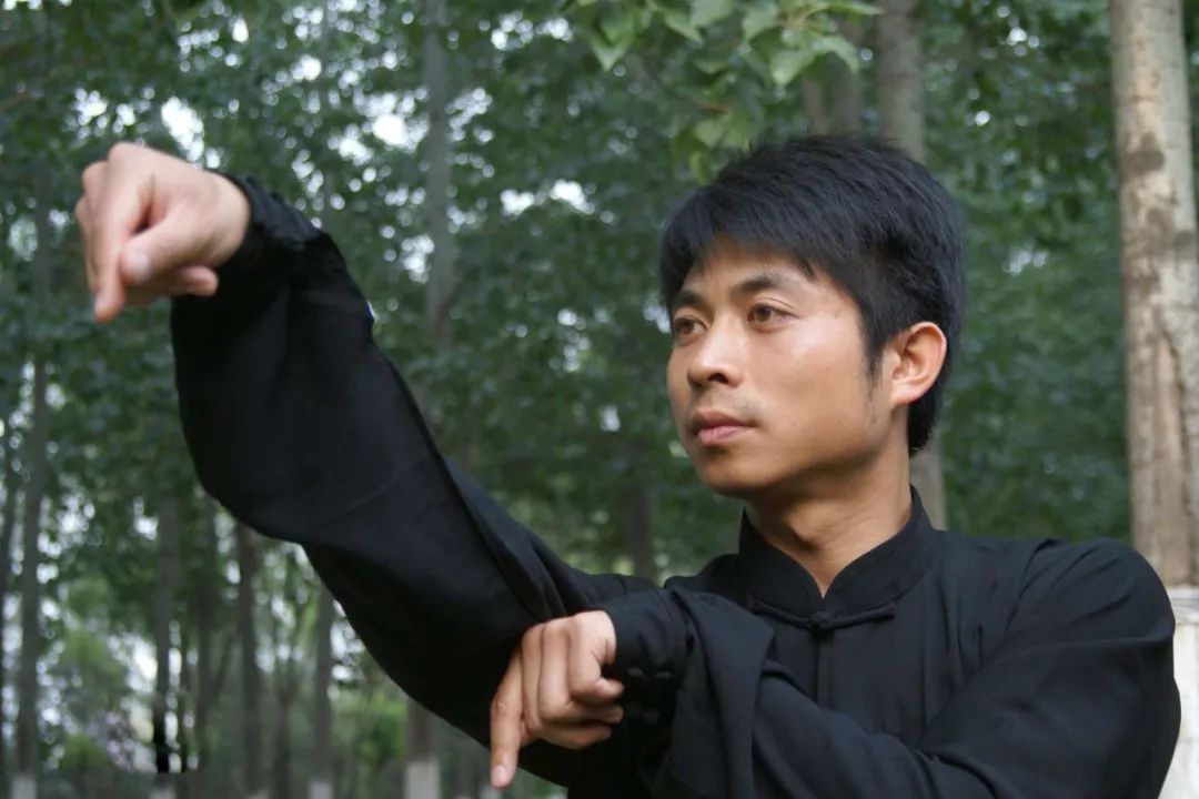 武术博大精深螳螂拳传人展功力,螳螂拳名家有哪些