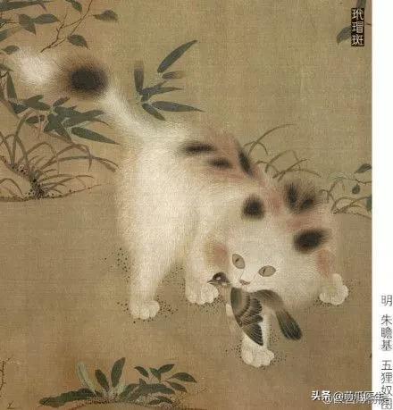 “你根本不爱猫，你就是馋它的身子！”