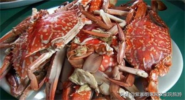 长岛好渔家,长岛当地渔家特色美食餐饮攻略