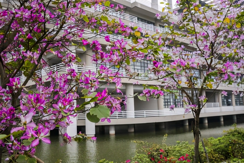 广东工业大学排名及录取分数线,广东工业大学电气自动化录取分数