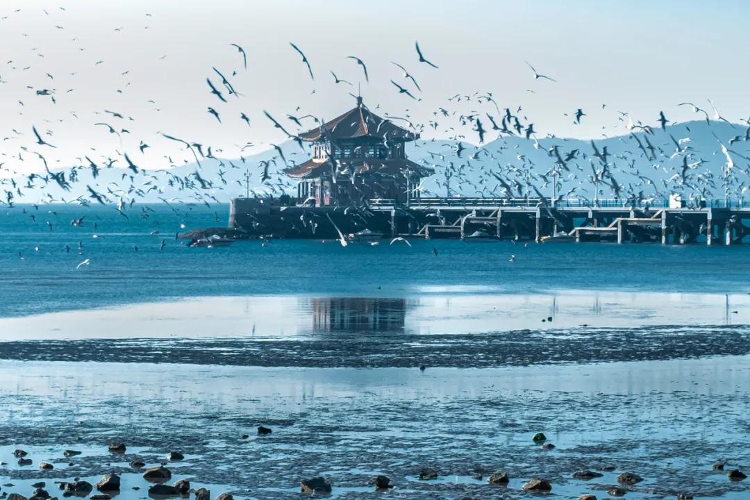 旅行清单青岛,青岛旅游攻略结束语