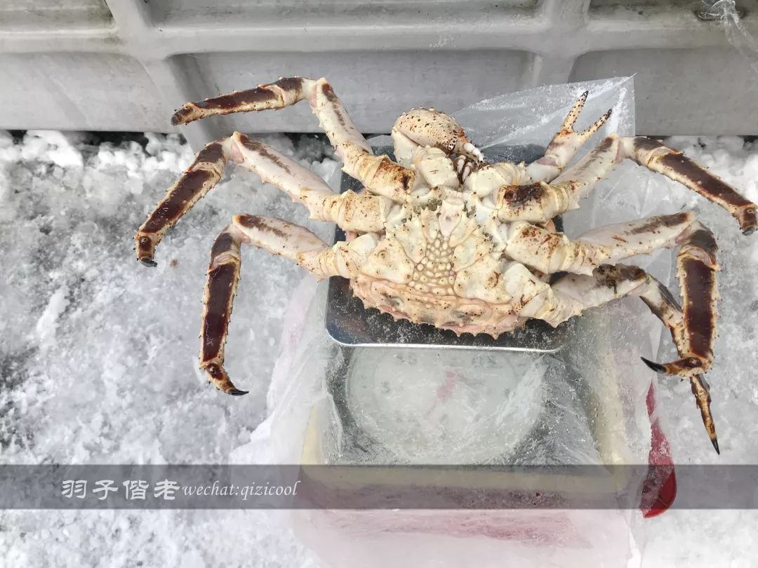 老实说,这一趟北海道就是为了拍好看的照片去的