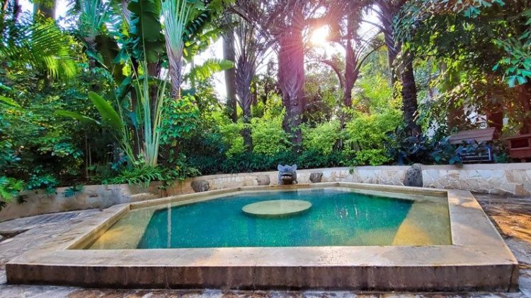 厦门日月谷温泉度假村吃饭,厦门日月谷温泉要带什么