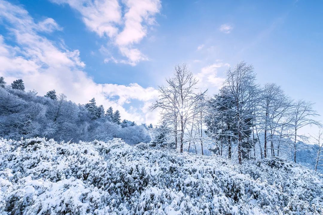 成都附近看雪一日游推荐表,成都周边轻徒步玩雪一日游