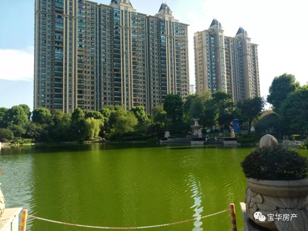 恒大雅苑金州,恒大雅苑长沙