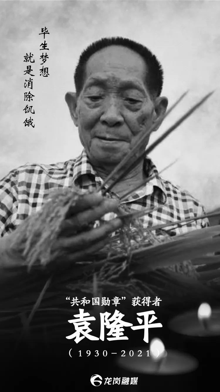 痛别！袁隆平院士逝世，原来他与龙岗有这么多故事……
