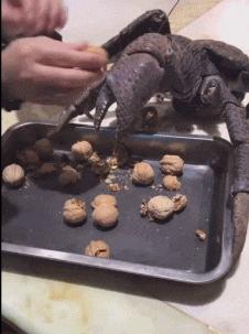 “如果这群女混混*攻围**我,我会舌战群儒!”你会怎样脱困?