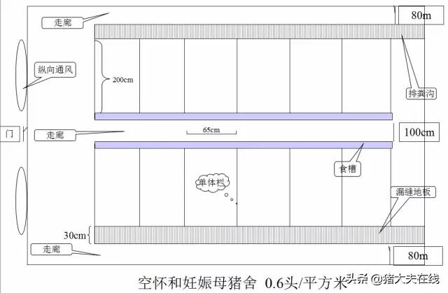 养猪猪舍设计建造,养猪最好的猪舍建造方法
