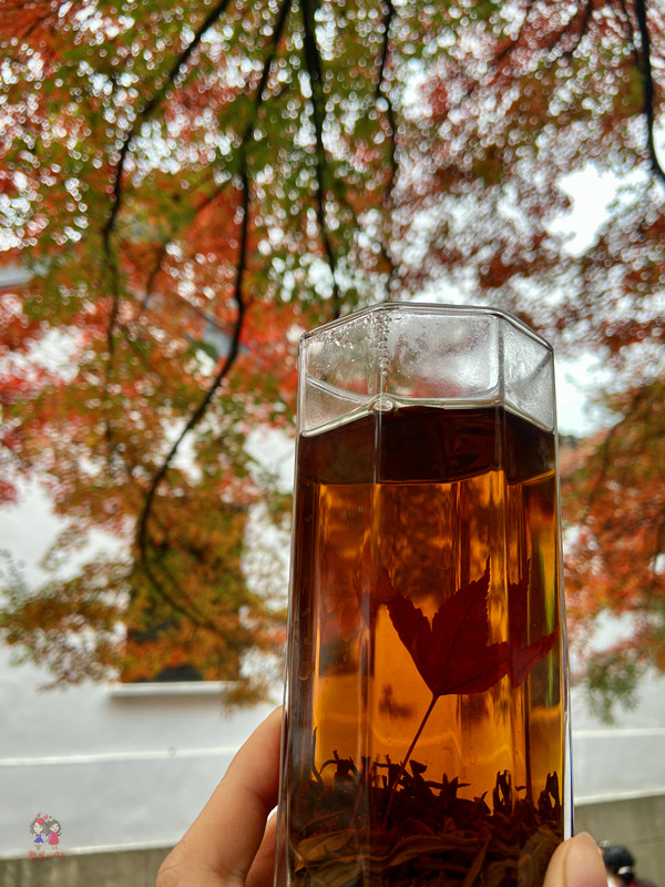 康熙乾隆12次下江南，却去了惠山古镇14次，一个小镇到底藏了啥？