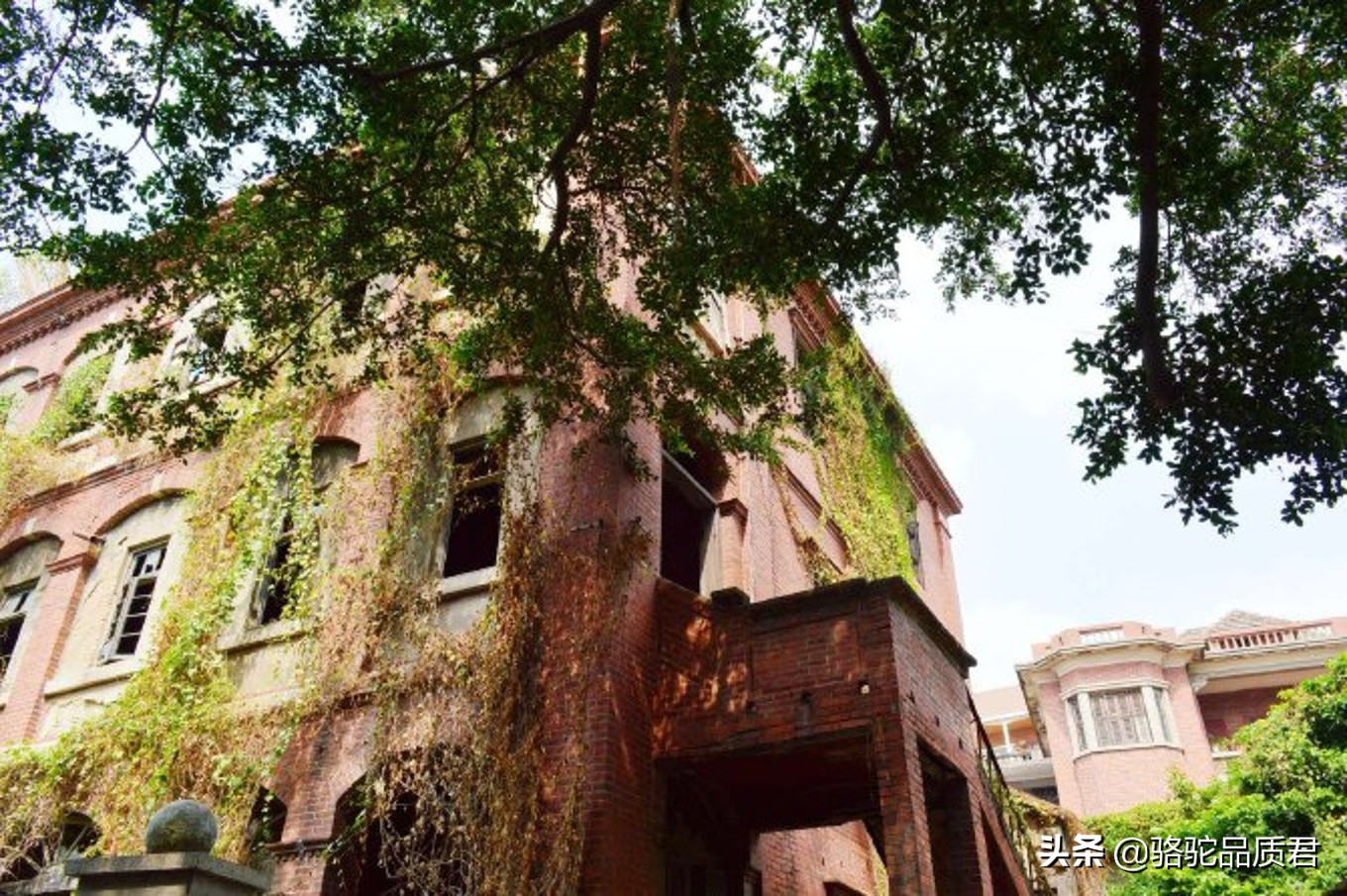 厦门海边之旅,厦门小众旅游体验