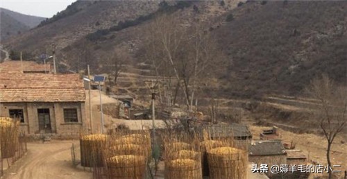 有哪些网上赚钱的小兼职,网上赚钱靠谱的小兼职