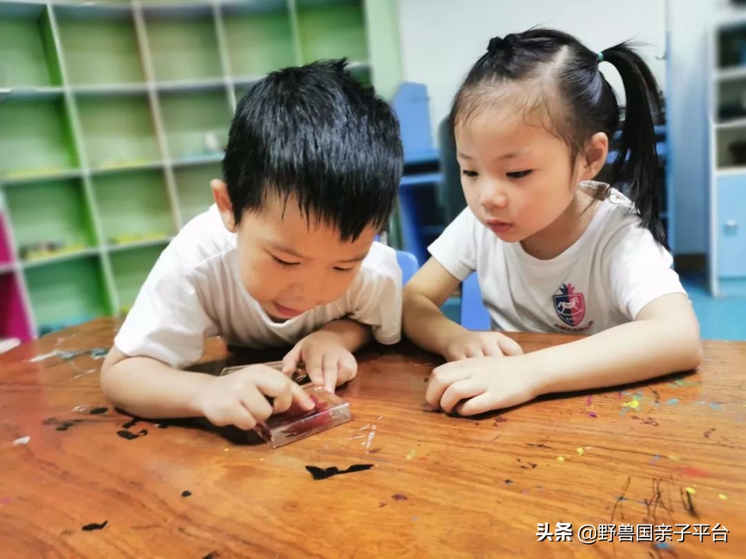 stem教育创始人,stem美国大学