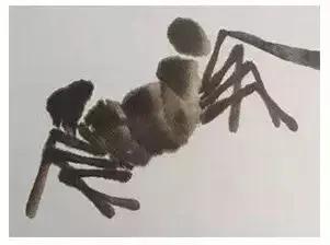一学就会画教你一步一步画螃蟹,画螃蟹的步骤和方法