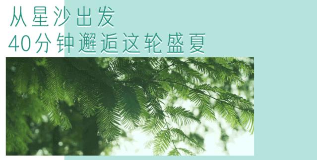 长沙小水果之乡,湖南长沙宝藏打卡地