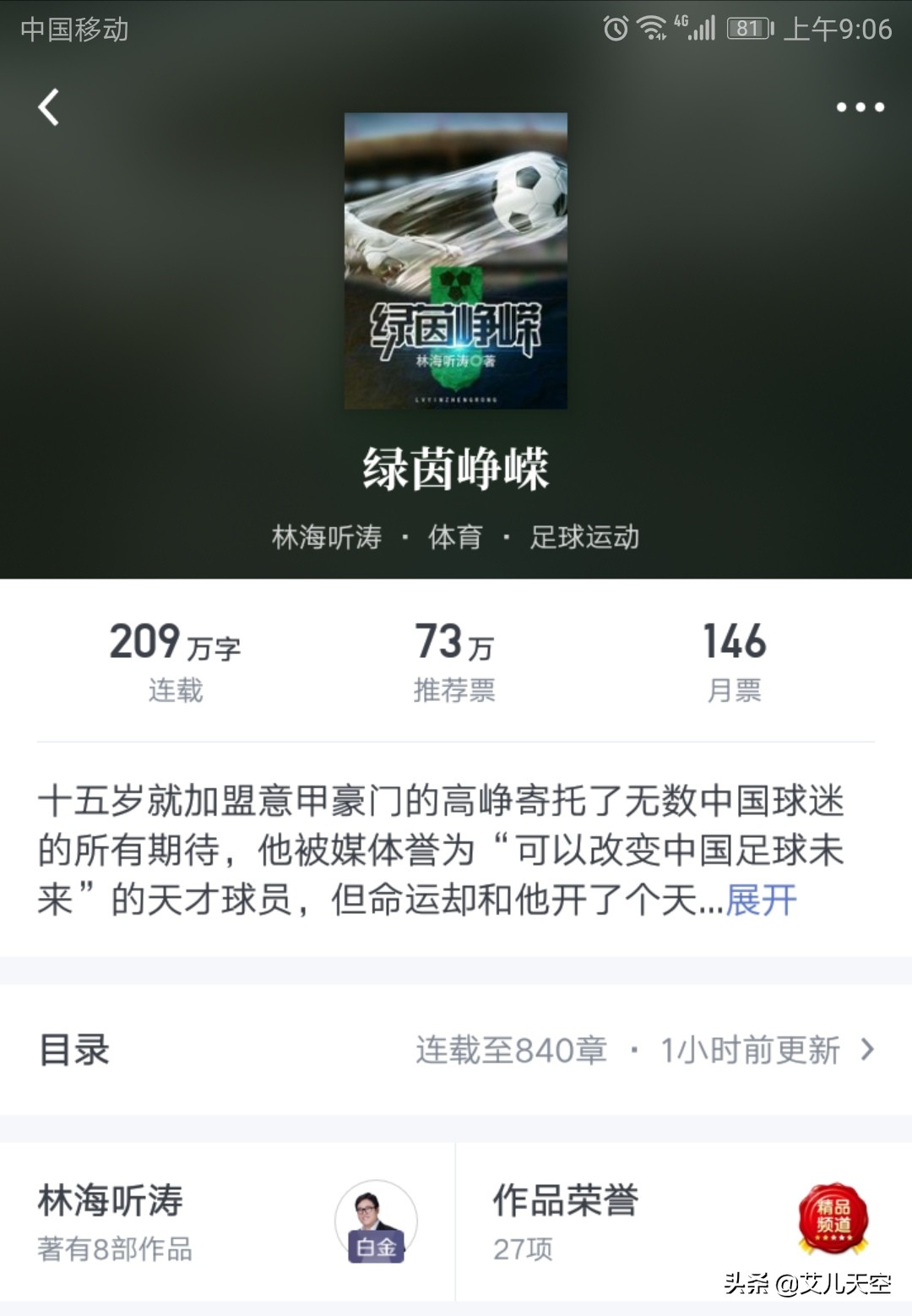 林海听涛冠军之光,林海听涛的小说评价