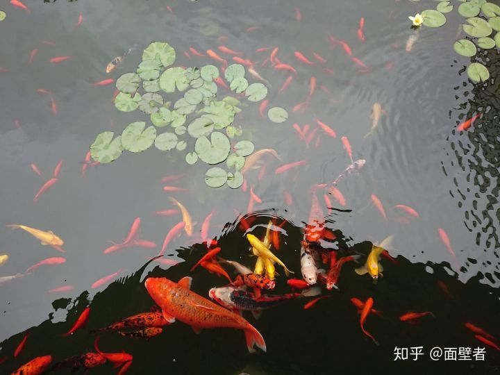 真实的苏州城市,真实的苏州相亲市场