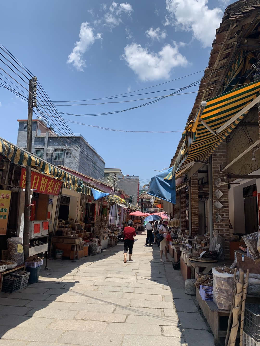 从化挖笋的地方,从化旅游攻略夏日旅行