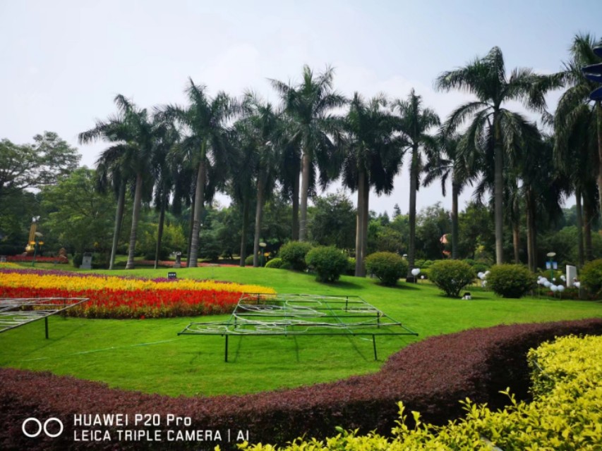 广州云台花园花展,广州云台花园咋样