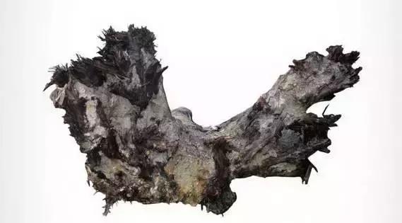 阴沉木乌木手串怎么鉴别,金丝楠乌木和阴沉木区别