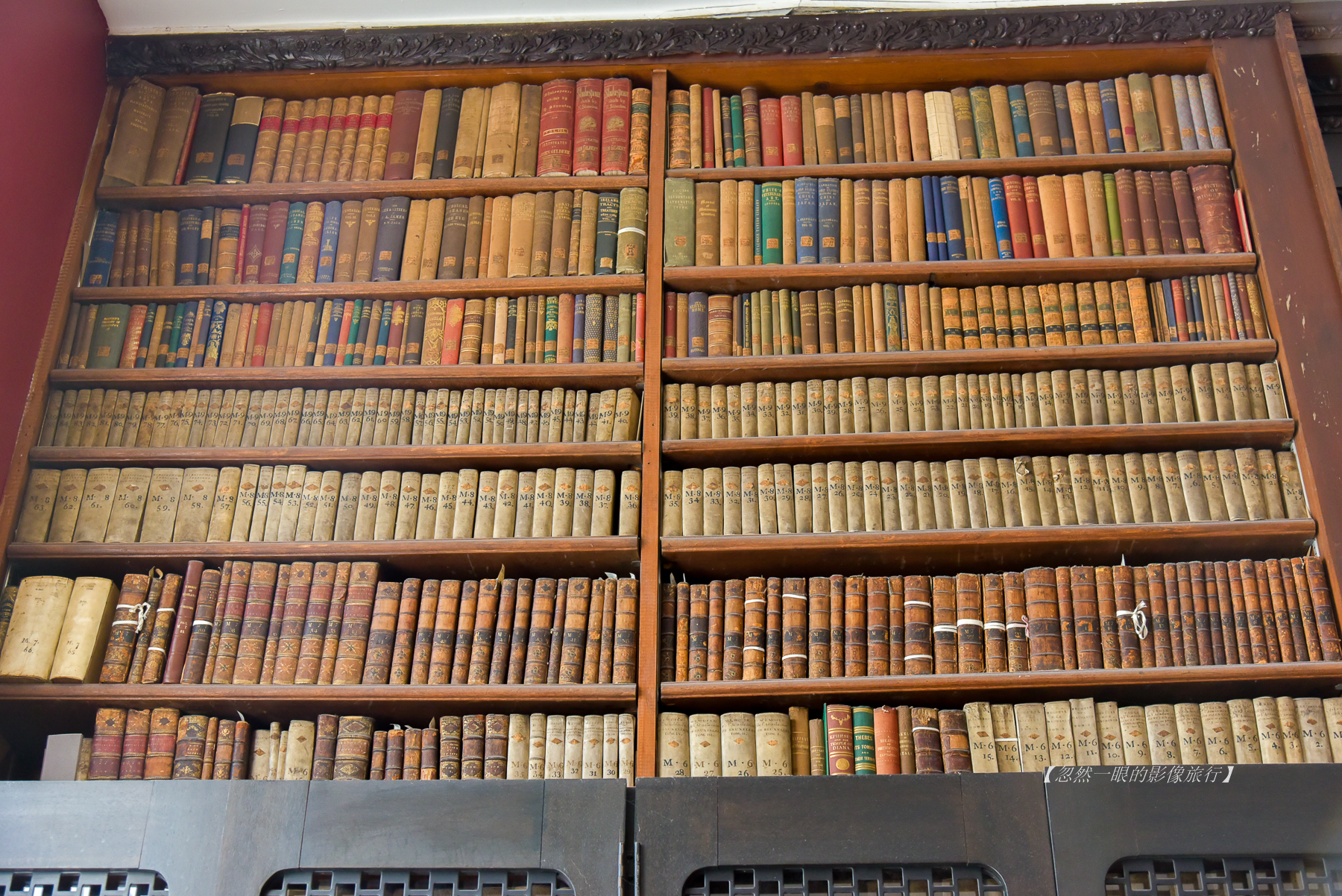 都柏林最高的树在哪里,都柏林地标大柱子