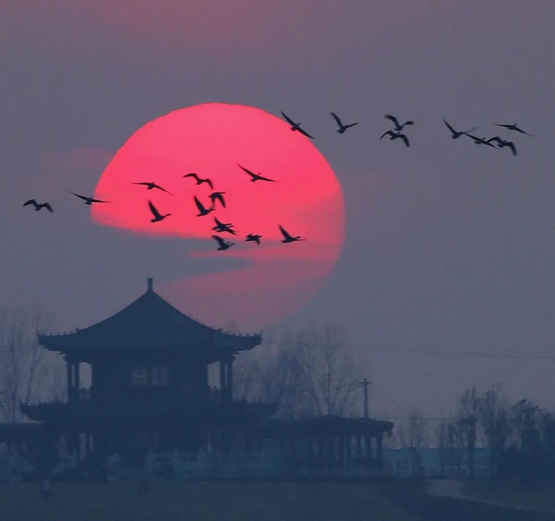 广角次品,广角失真是啥意思