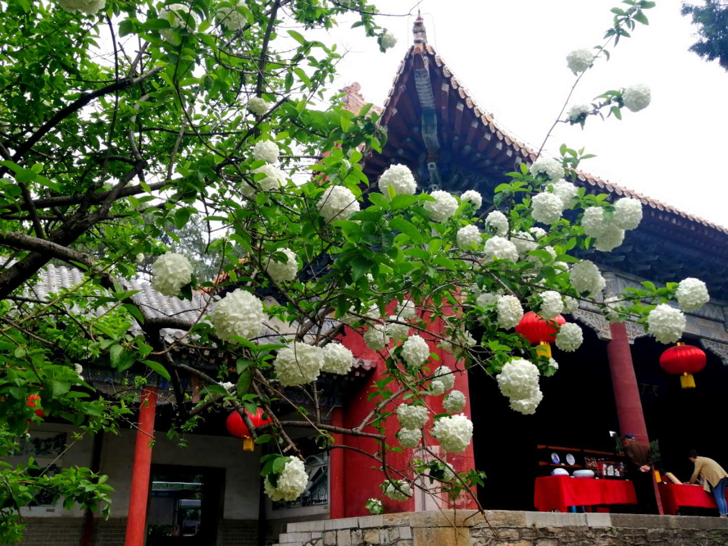 *安泰**:白发老城国泰民安