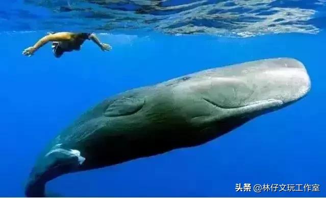 冷门文玩类宝石有哪些,这六种文玩千万不要碰