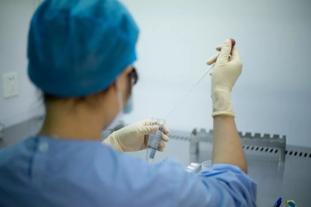 为什么胚胎碎片率高,试管胚胎碎片率高怎么解决