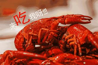 麻辣龙利鱼豆腐虾,虾滑龙利鱼番茄