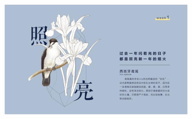 2021年日历分享,2021法定假日日历一览表