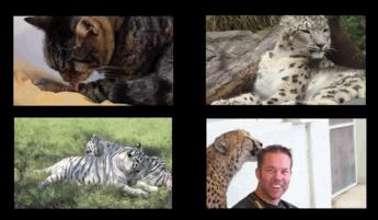 孩子膀胱容量130,儿童最大膀胱容量197正常吗