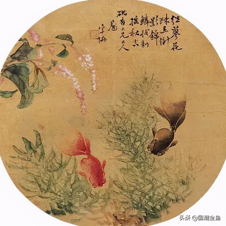 鍥芥疆閲戦奔鎽勫奖,涓浗閲戦奔鎽勫奖