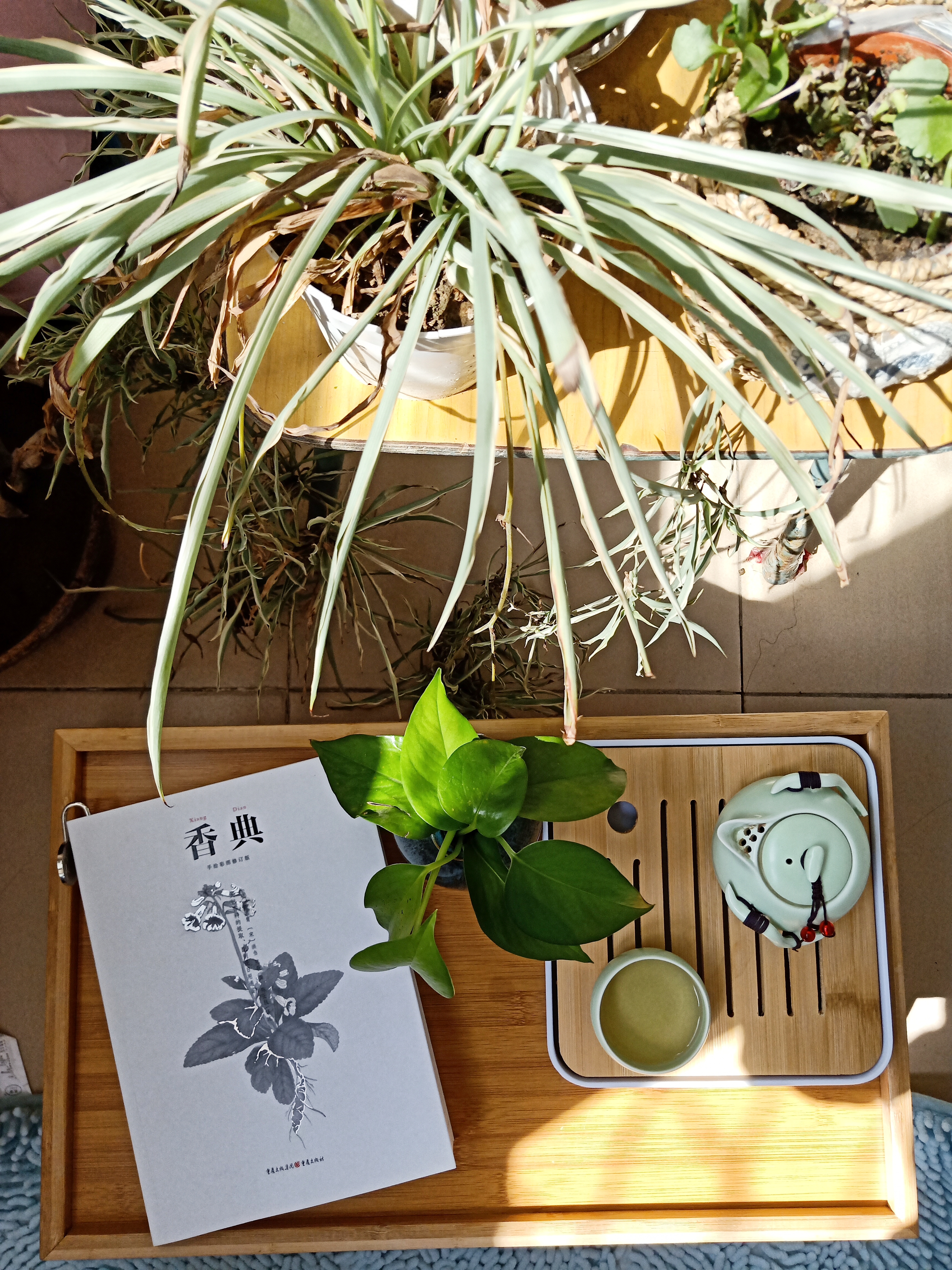 春日里的阳台书房