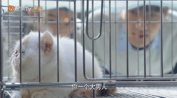 五一小长假，这剧甜得我倒床不起