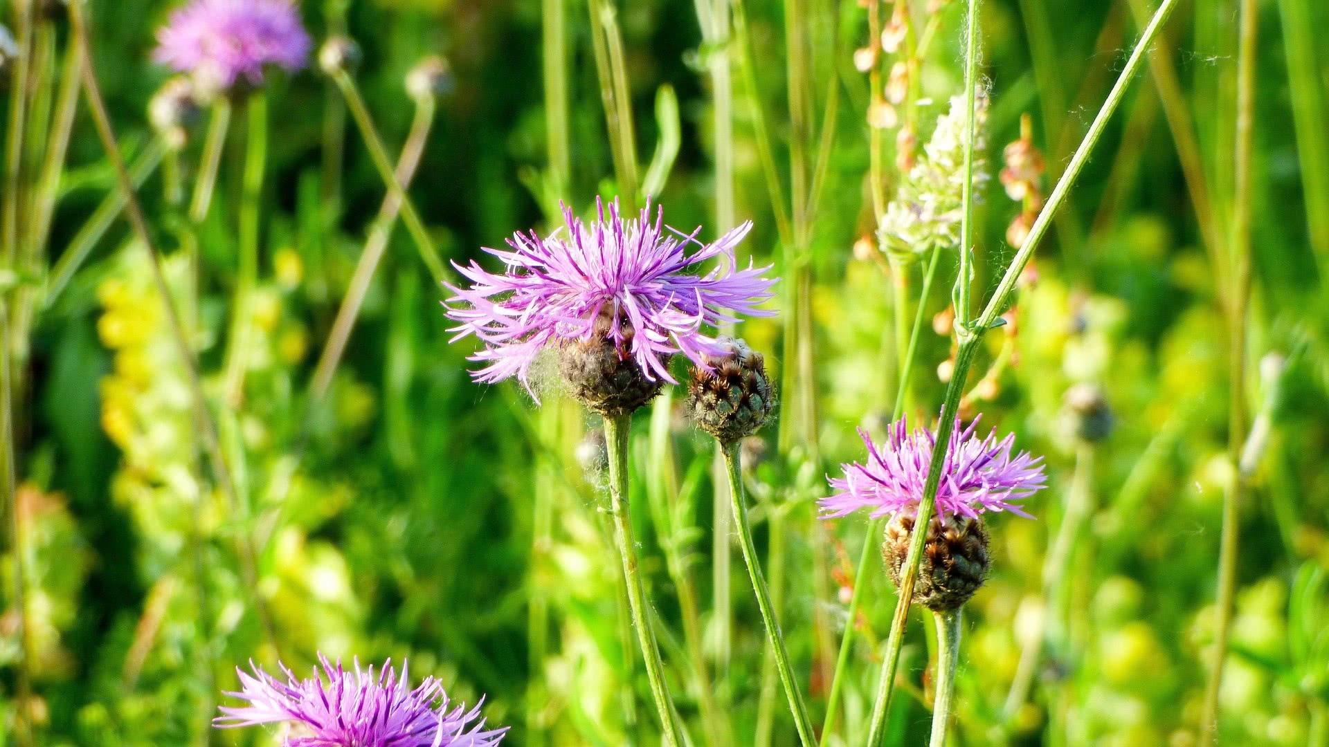 渡人渡己感谢生命中的每一份遇见,渡人就是渡己给人生留点余地