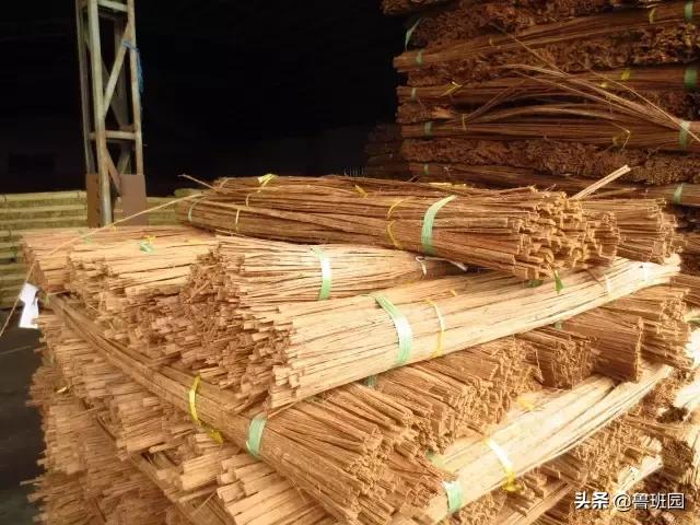 竹子怎么变异成龟甲竹,看竹子挖笋技巧