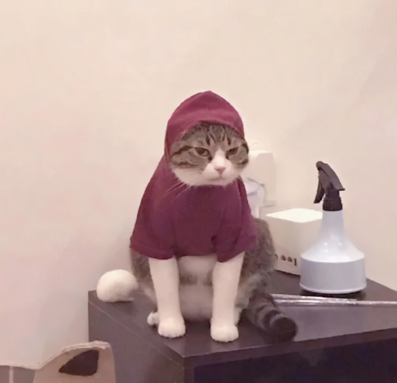 适合中年女人高雅的微信头像,100张珍藏已久微信头像