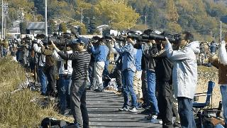 刀锐奶化，毒德大学......学会摄影圈黑话，你就是道上的人了！