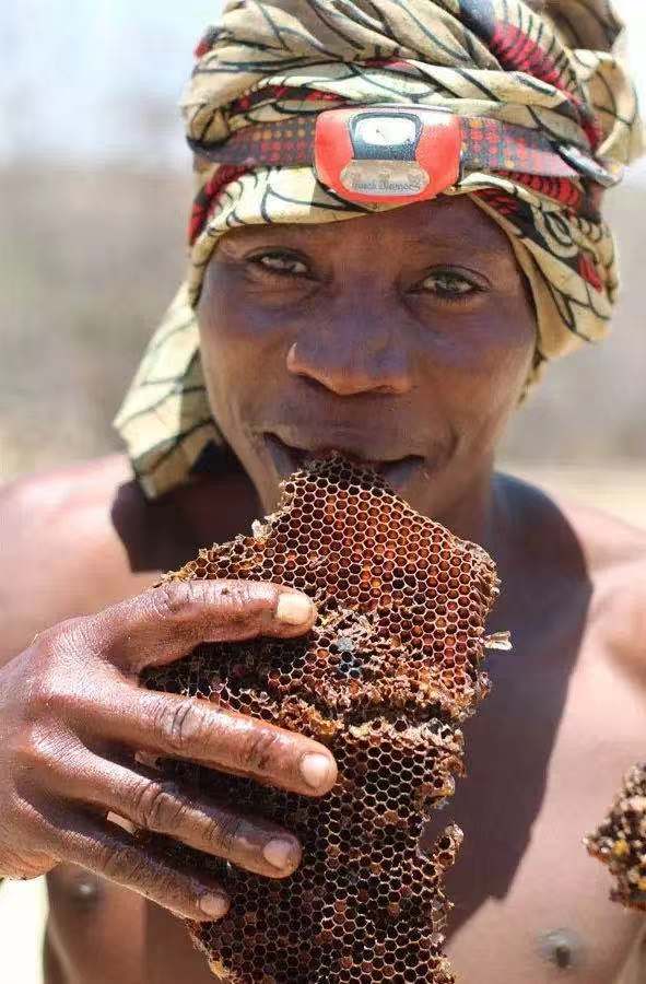 蜂蜜作为食材,蜂蜜食用说明